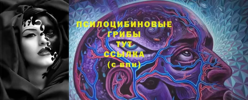 Галлюциногенные грибы Cubensis  Безенчук 